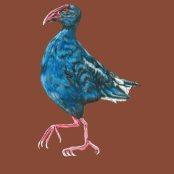 Perky Pukeko - AS Colour Mens Relax Crew Design