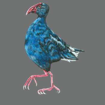 Perky Pukeko - AS Colour Mens Staple T shirt Design