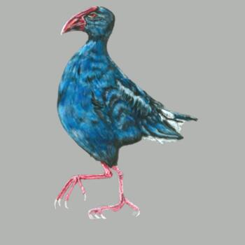 Perky Pukeko - AS Colour Womens Relax Hood Design