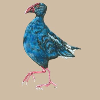 Perky Pukeko - AS Colour Mens Relax Crew Design