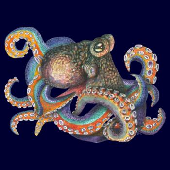 Oscar the Octopus - AS Colour Kids Youth T shirt Design