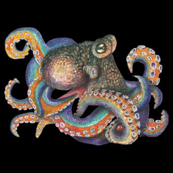 Oscar the Octopus - AS Colour Mens Staple T shirt Design