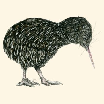 Little Kiwi - AS Colour Carrie Tote Bag  - AS Colour Carrie Tote Bag  - AS Colour Carrie Tote Bag  Design