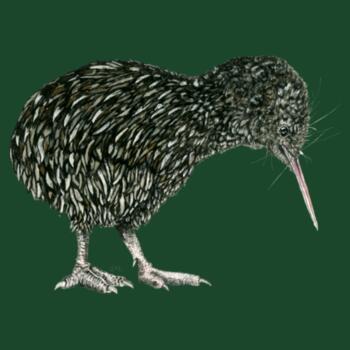 Little Kiwi - AS Colour Kids Youth T shirt Design