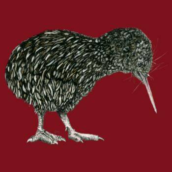 Little Kiwi - AS Colour Womens Maple Tee Design
