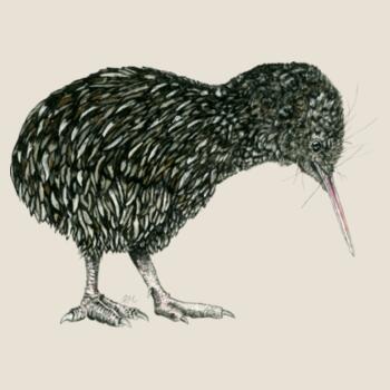 Little Kiwi - AS Colour Womens Mali Tee Design