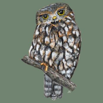 Ruru - AS Colour Kids Youth T shirt Design