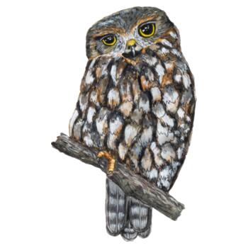 Ruru - Tea towel Design