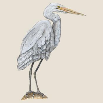 White Heron - AS Colour Womens Mali Tee Design