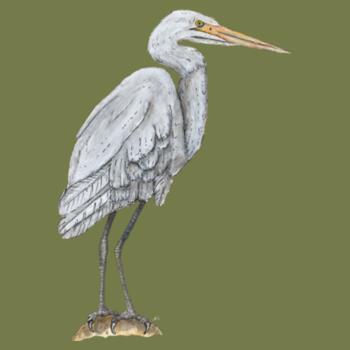 White Heron - AS Colour Mens Staple T shirt Design