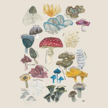 Mushroom & Fungi  - AS Colour Womens Mali Tee Design