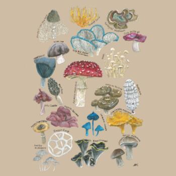 Mushroom & Fungi  - AS Colour Mens Staple T shirt Design