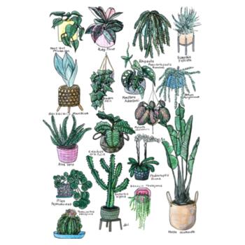 17 Indoor Plants - Mens Staple T shirt Design