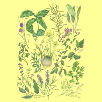 Garden Herbs - AS Colour Mens Staple T shirt Design