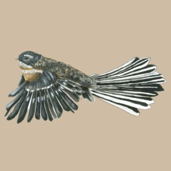 Piwakawaka  - AS Colour Womens Maple Tee Design