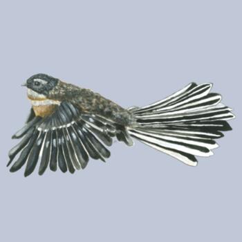 Piwakawaka -As Colour Women's Relax Hood - AS Colour Womens Relax Hood Design