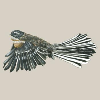 Piwakawaka -As Colour Kids Supply Hoodie Design