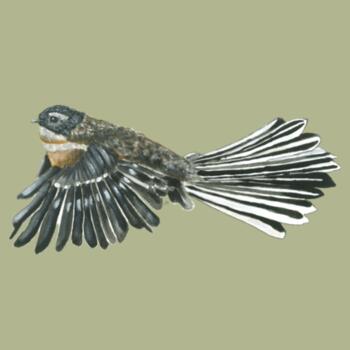 Piwakawaka -As Colour womens Supply Hoodie Design