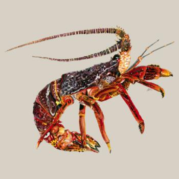 Cray  - AS Colour Kids Supply Hood Design