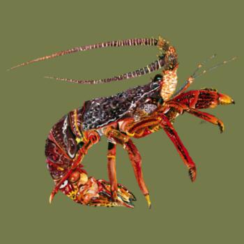 Cray  - AS Colour Youth Staple Tee Design