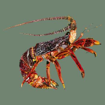 Cray  - AS Colour Kids Staple Tee Design