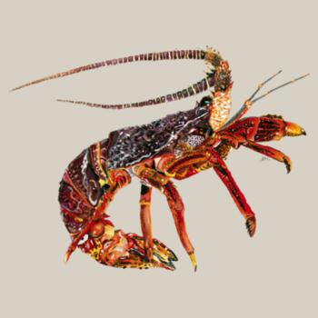 Cray  - AS Colour Mens Supply Hood Design