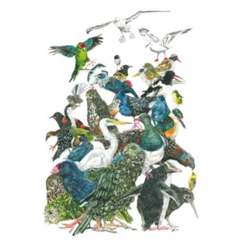 NZ Bird Crew - White Tea Towel Design